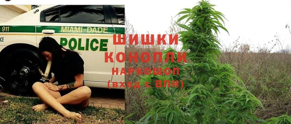 гашик Бронницы